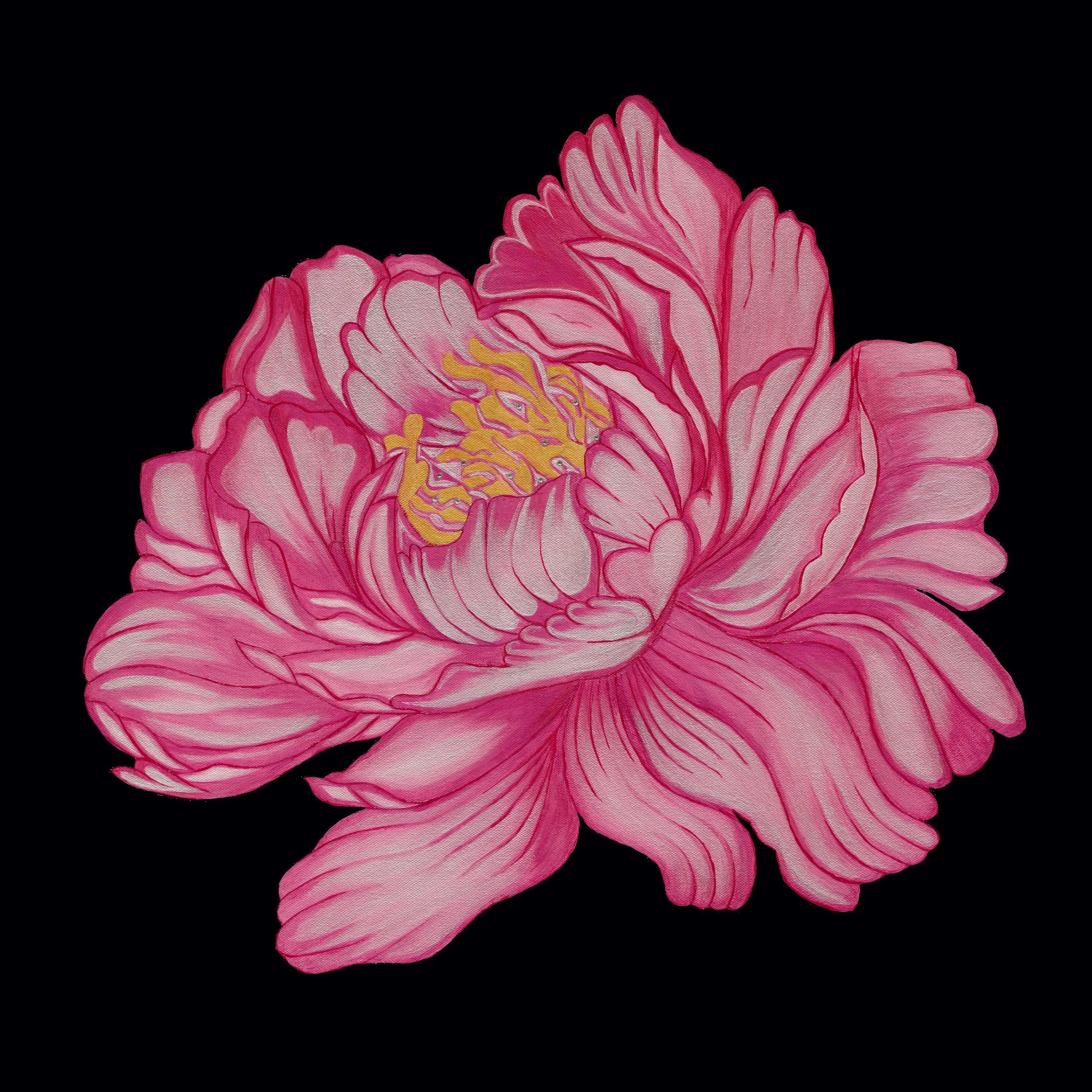 Vivid pink peony in full bloom with yellow stamens — original acrylic floral painting on black.