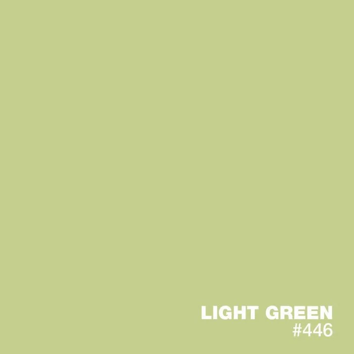 ColorCard_STANDARD_Colors_446_LightGreen.jpg
