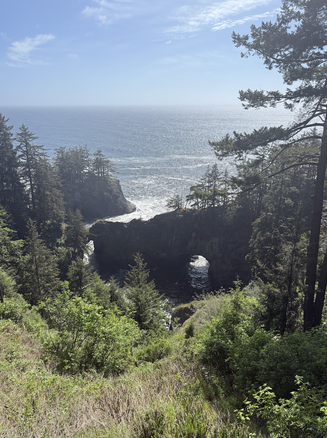 A view of rugged coastline with a natural rock arch, dense forest, and the ocean under a partly cloudy sky.