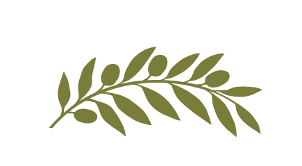 An olive branch with green leaves and olives.