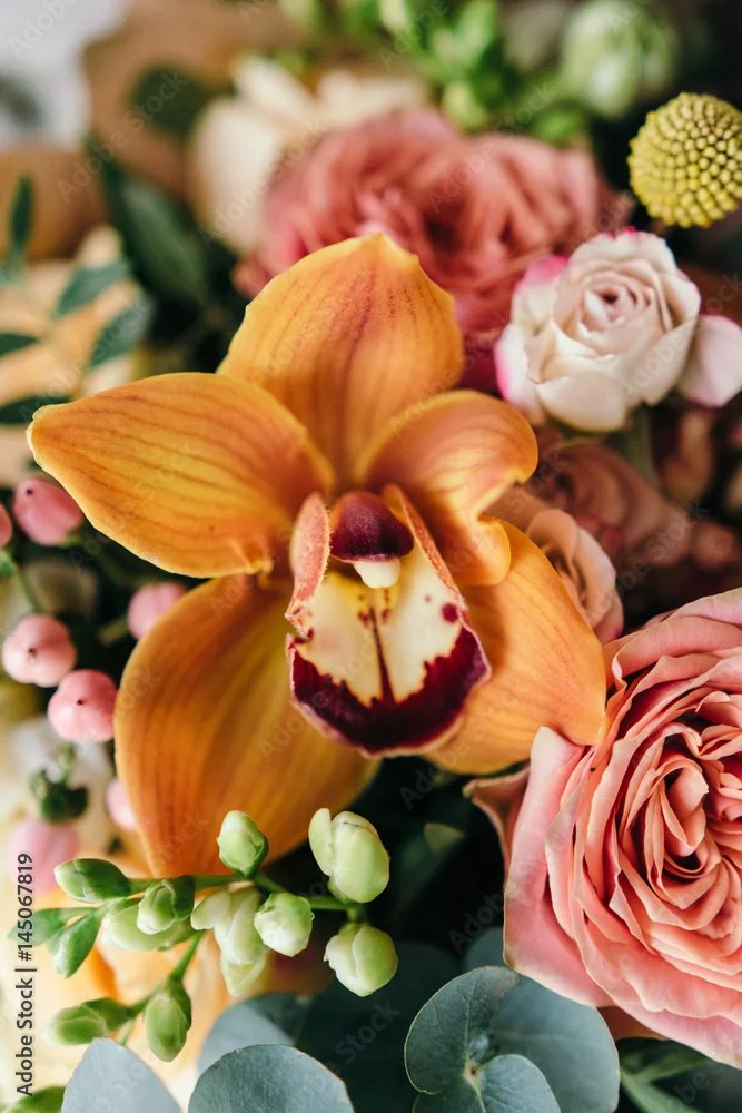 AdobeStock_145067819_Preview.jpeg