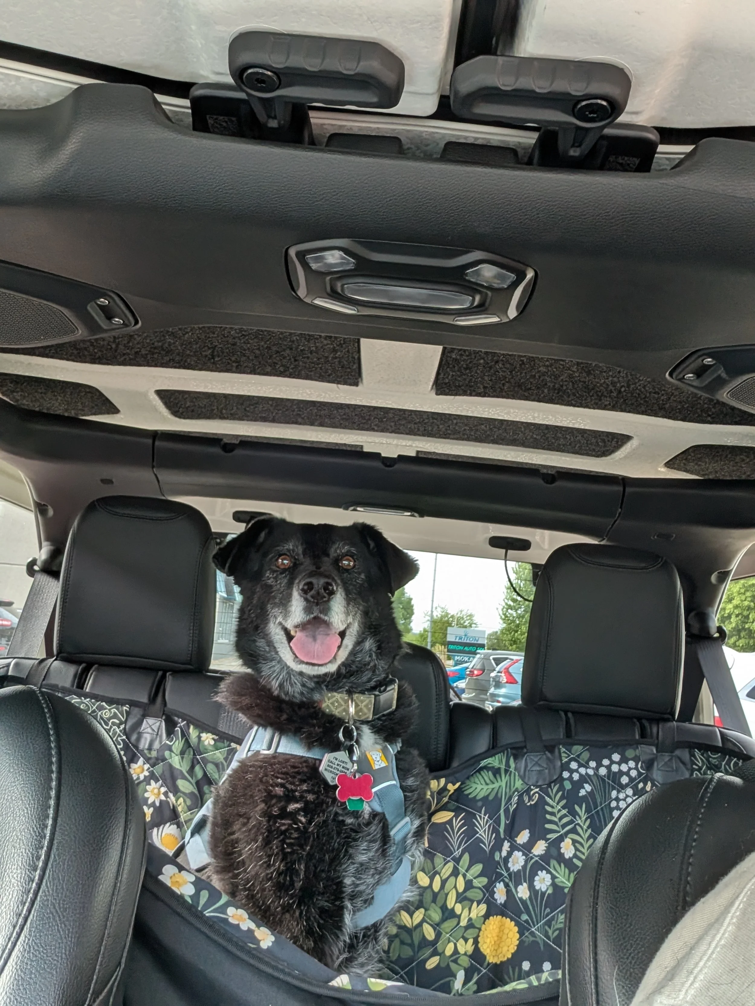 When Adventures Get Smaller