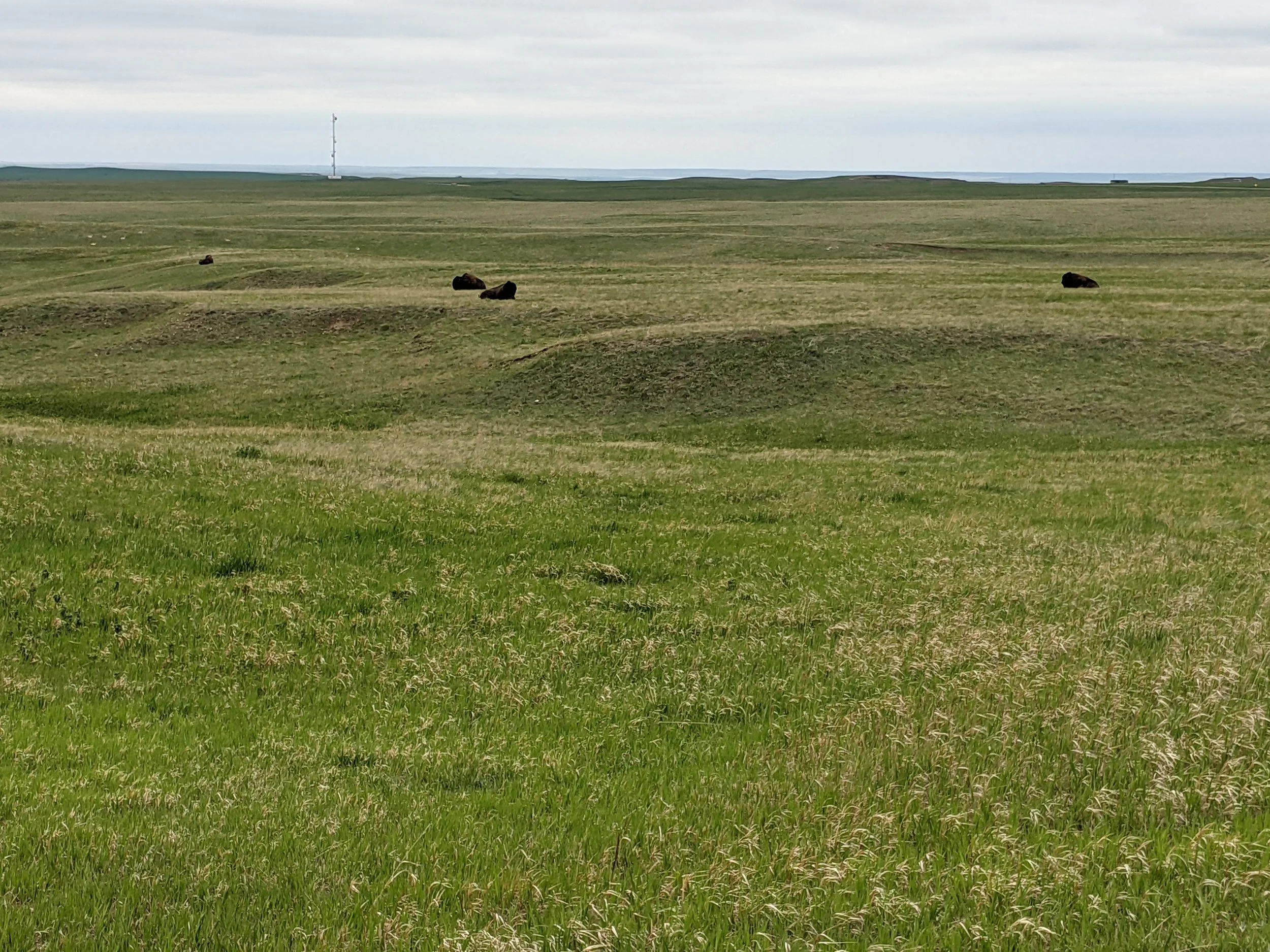 PXL_20210522_204056507.jpg