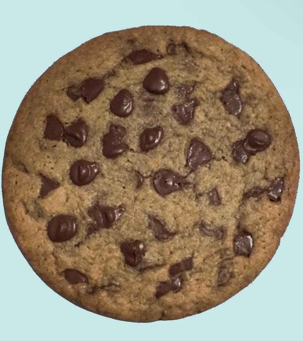 Chocolate Chip.jpg