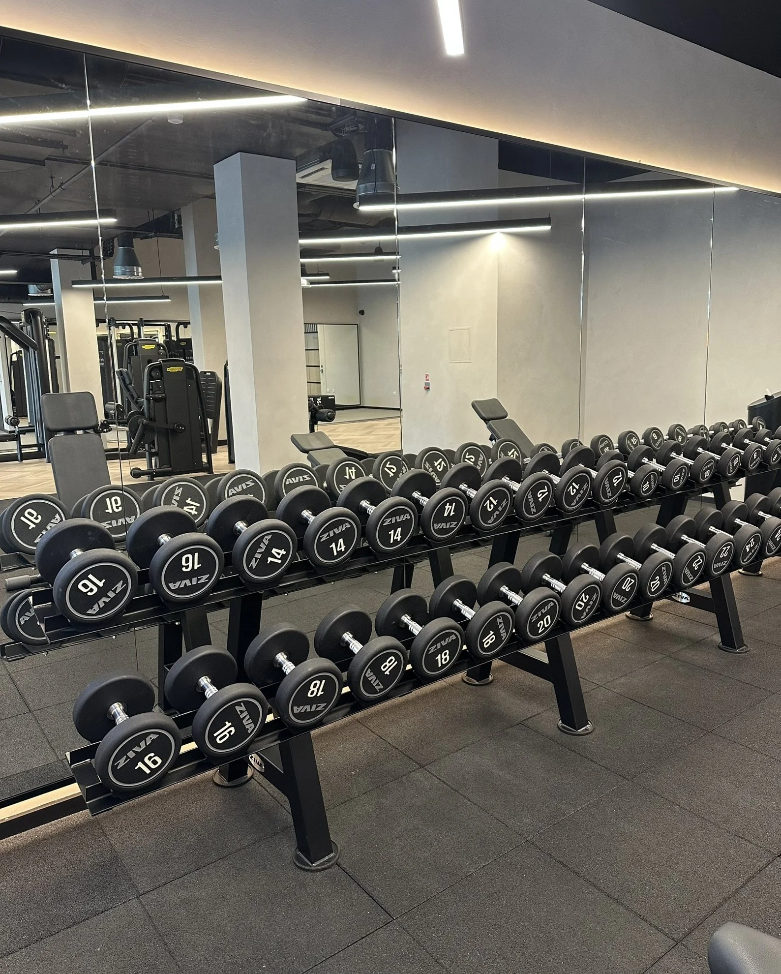 Residential gym training space in Canary Wharf
