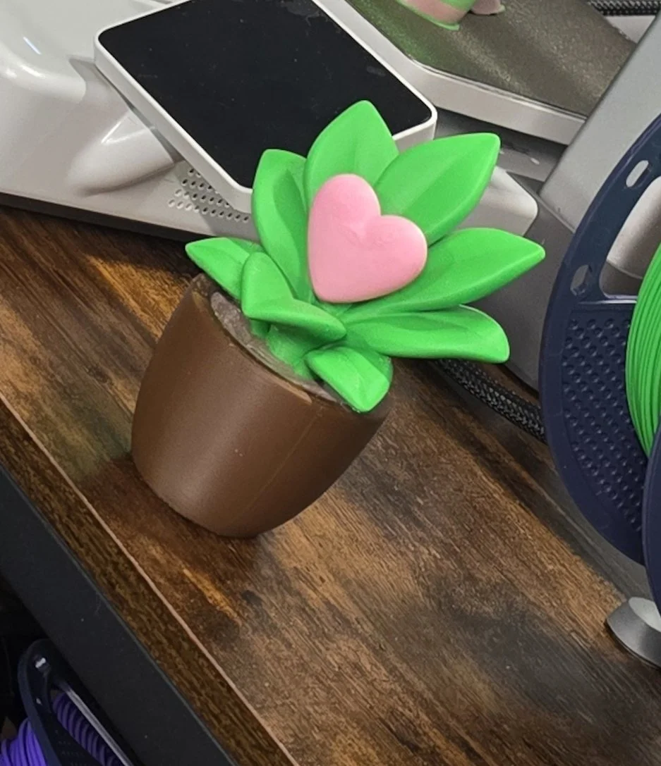 Succulent cropped.jpg