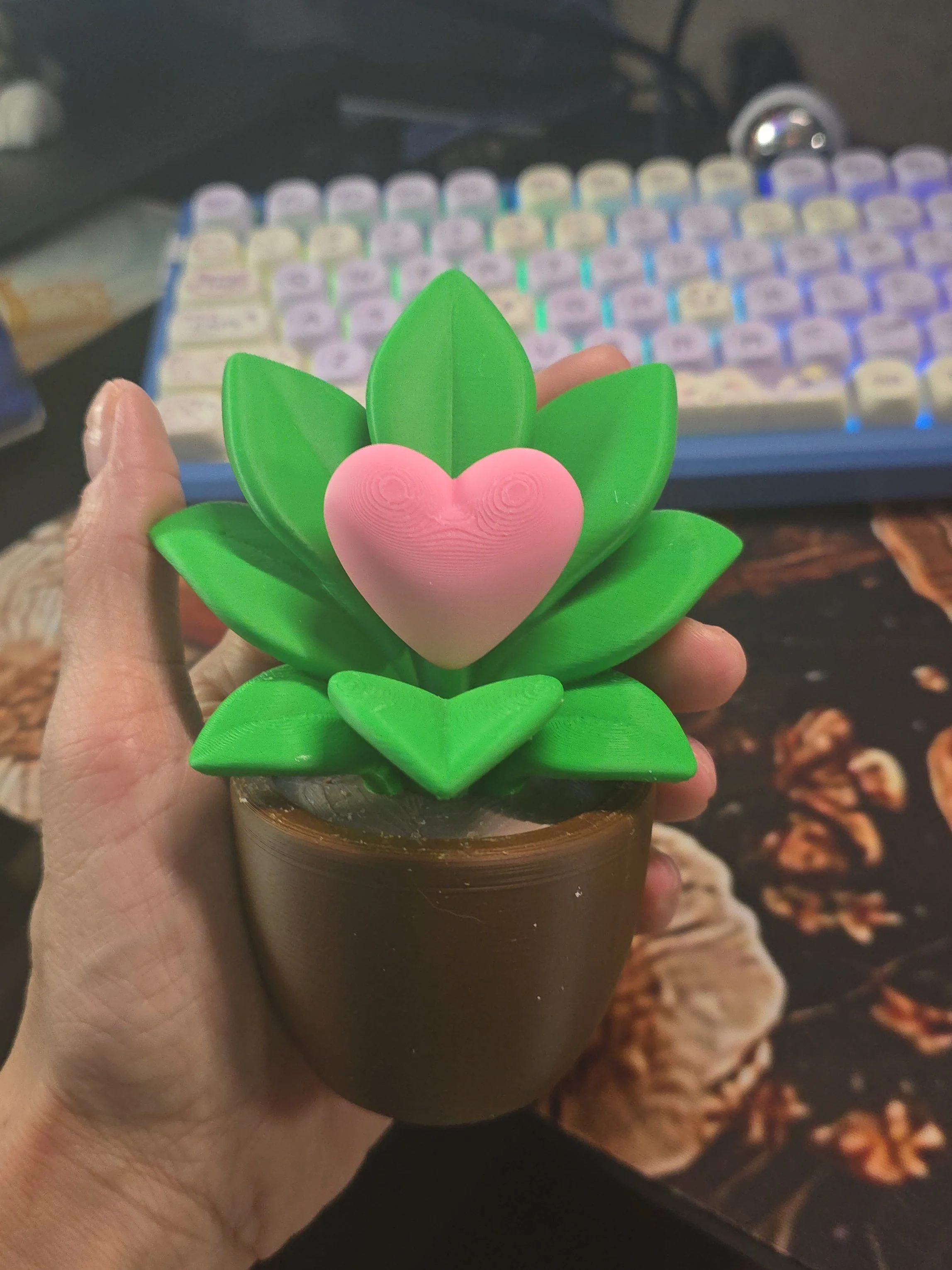 3D Printed Succulent with Heart Accent