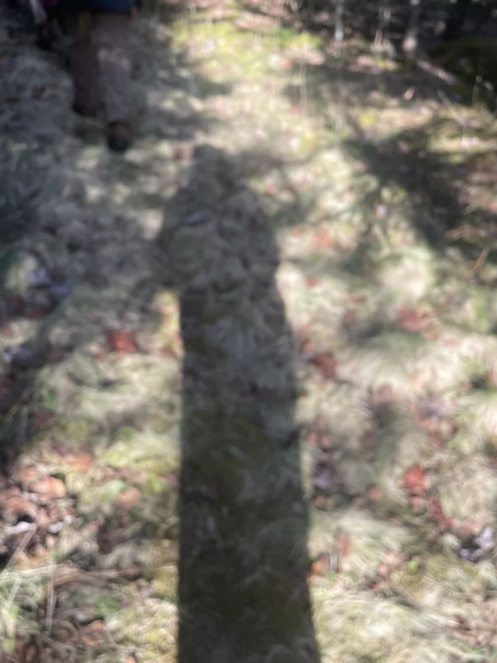IMG_2155.jpeg