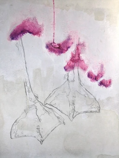 Schema Series