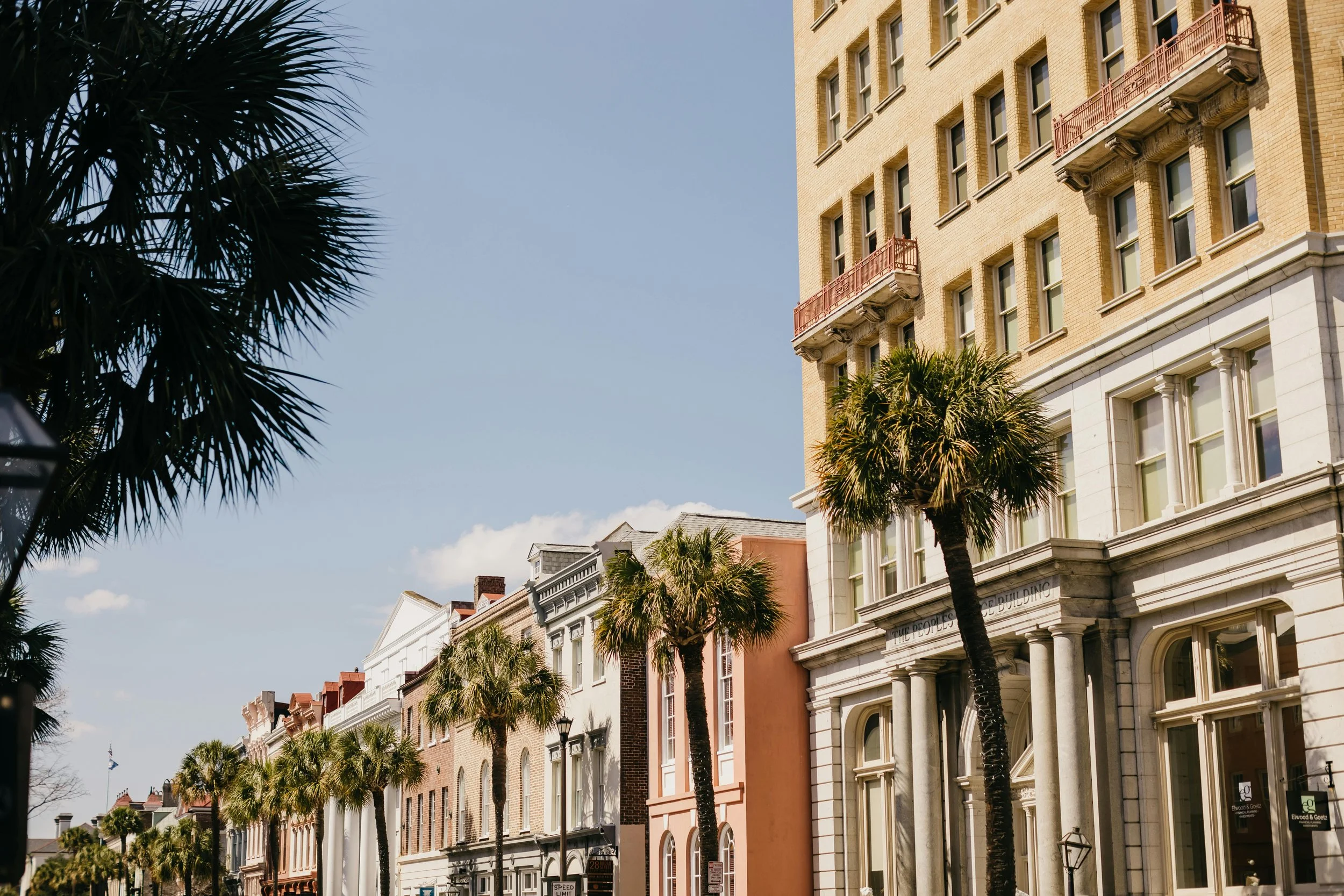 A street lined with palm trees and historic buildings under a clear blue sky.