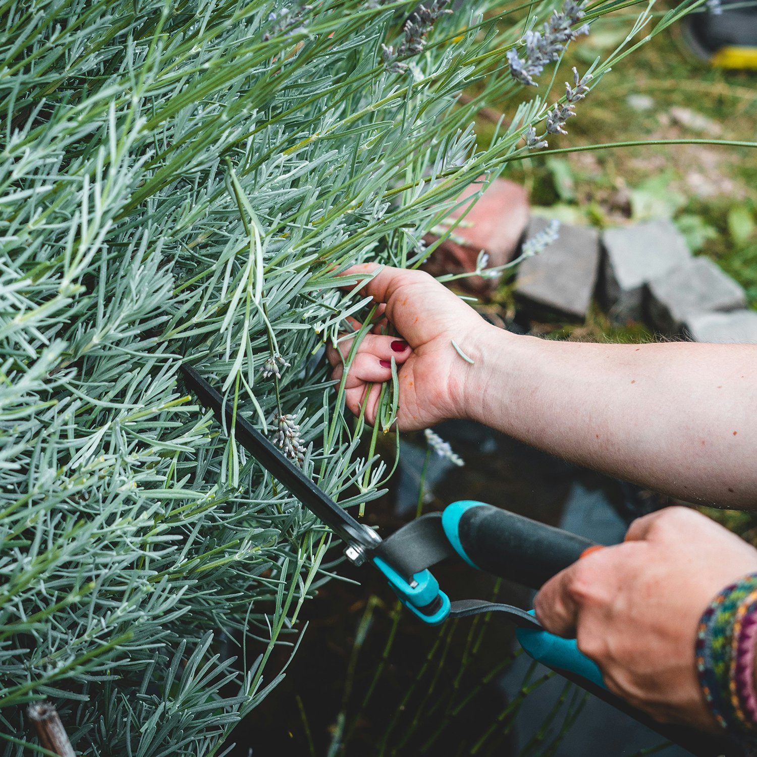 Garden Maintenance