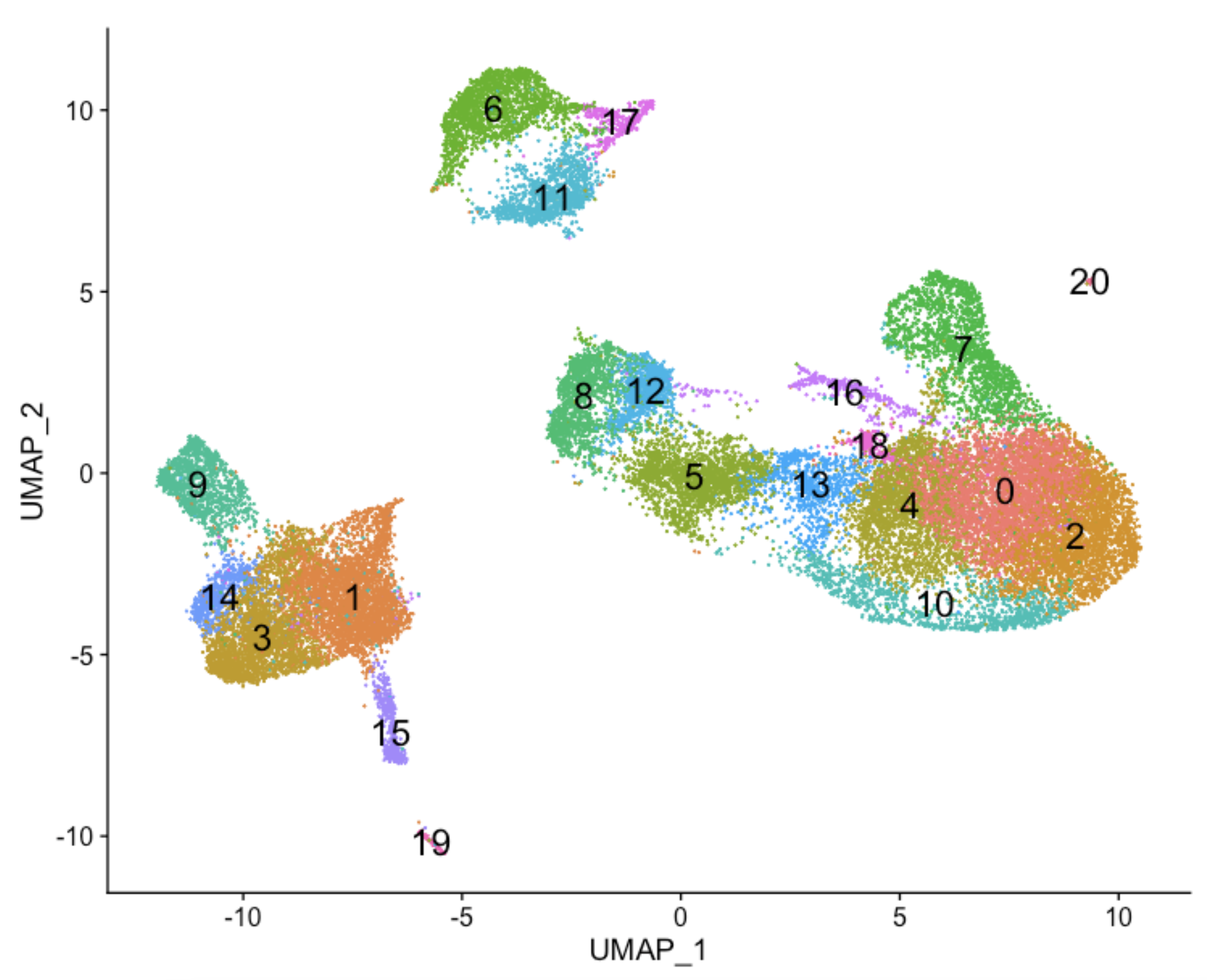 A colorful scatter plot of single-cell transcriptomics data with numbered clusters, sectioned by UMAP axes, representing different groups of cells.