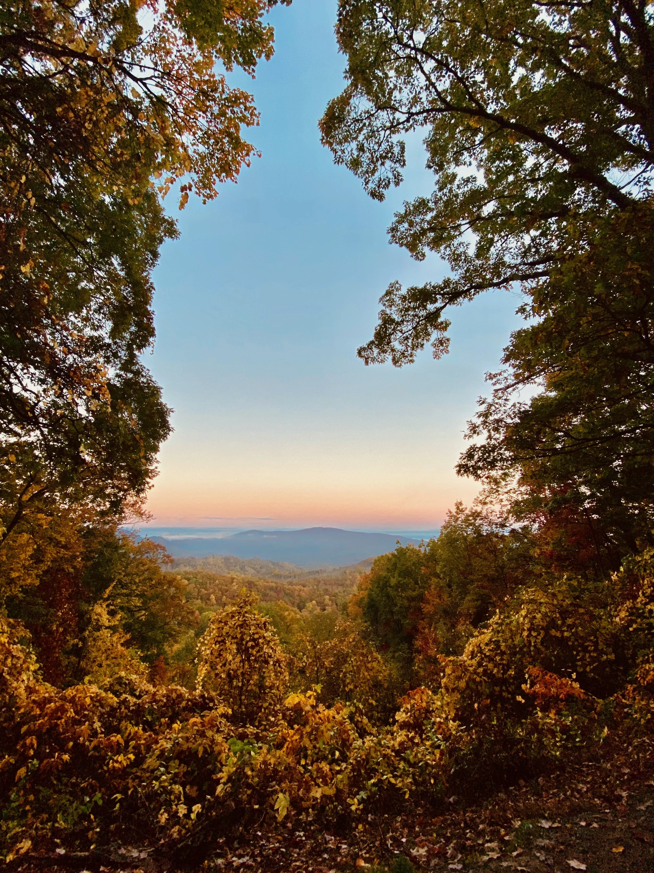 2020_ Pigeon Forge_ - 6.jpeg
