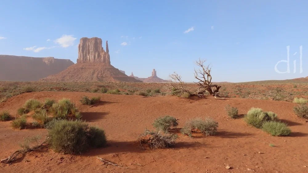 Granted, a three-hour drive off Route 66 is stretching the bounds a bit, but Monument Valley, crown jewel of the Navajo Nation in northeastern Arizona, is worth going twice as far to see. Straight off visitors are treated to views of the Mittens, per