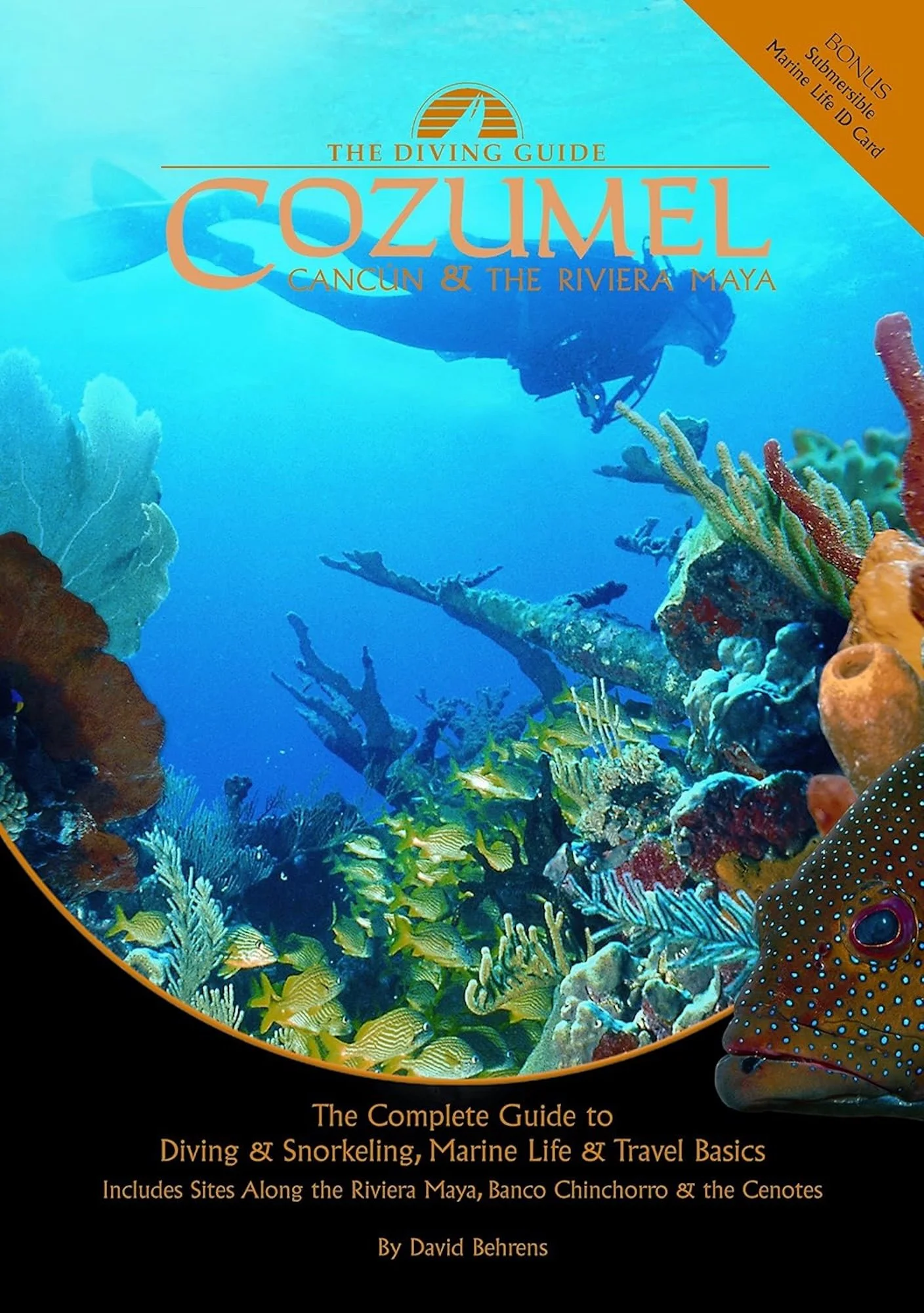 Cover of a book titled 'The Diving Guide to Cozumel, Cancun & the Riviera Maya' with a background image of a scuba diver swimming over coral reefs with colorful fish and marine life.