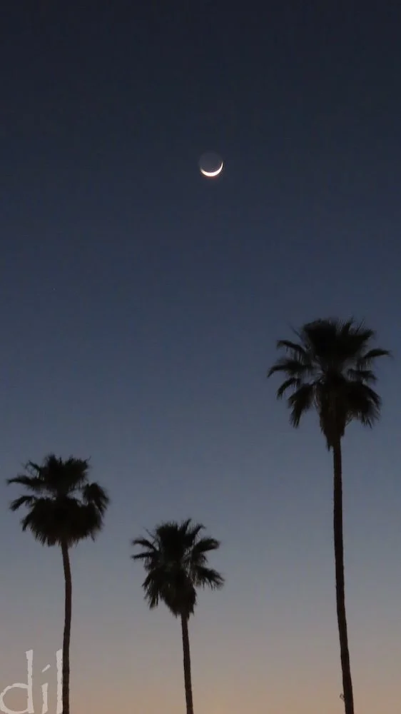 Twentynine Palms was named for palms ringing the original oasis. Palms survive, and town is an oasis of hotels, motels, bars, restaurants and gift shops.