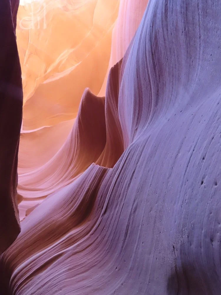 East of Page is Antelope Canyon, a cathedral of red rock and light sculpted for millennia by wind and water. The Navajo Nation offers guided walks through both Upper and Lower Antelope (pictured here). 