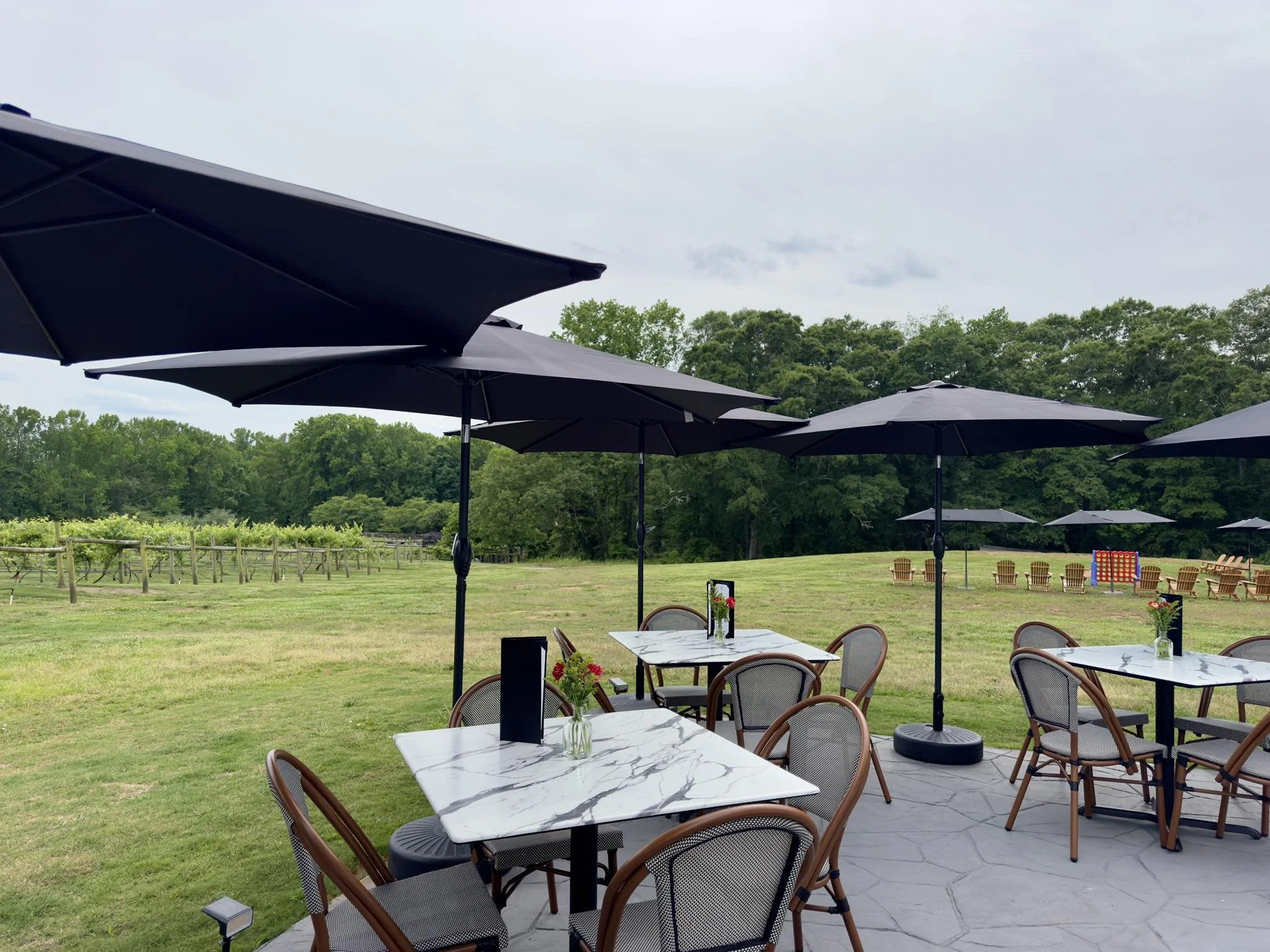Cleveland Valley Vineyards
