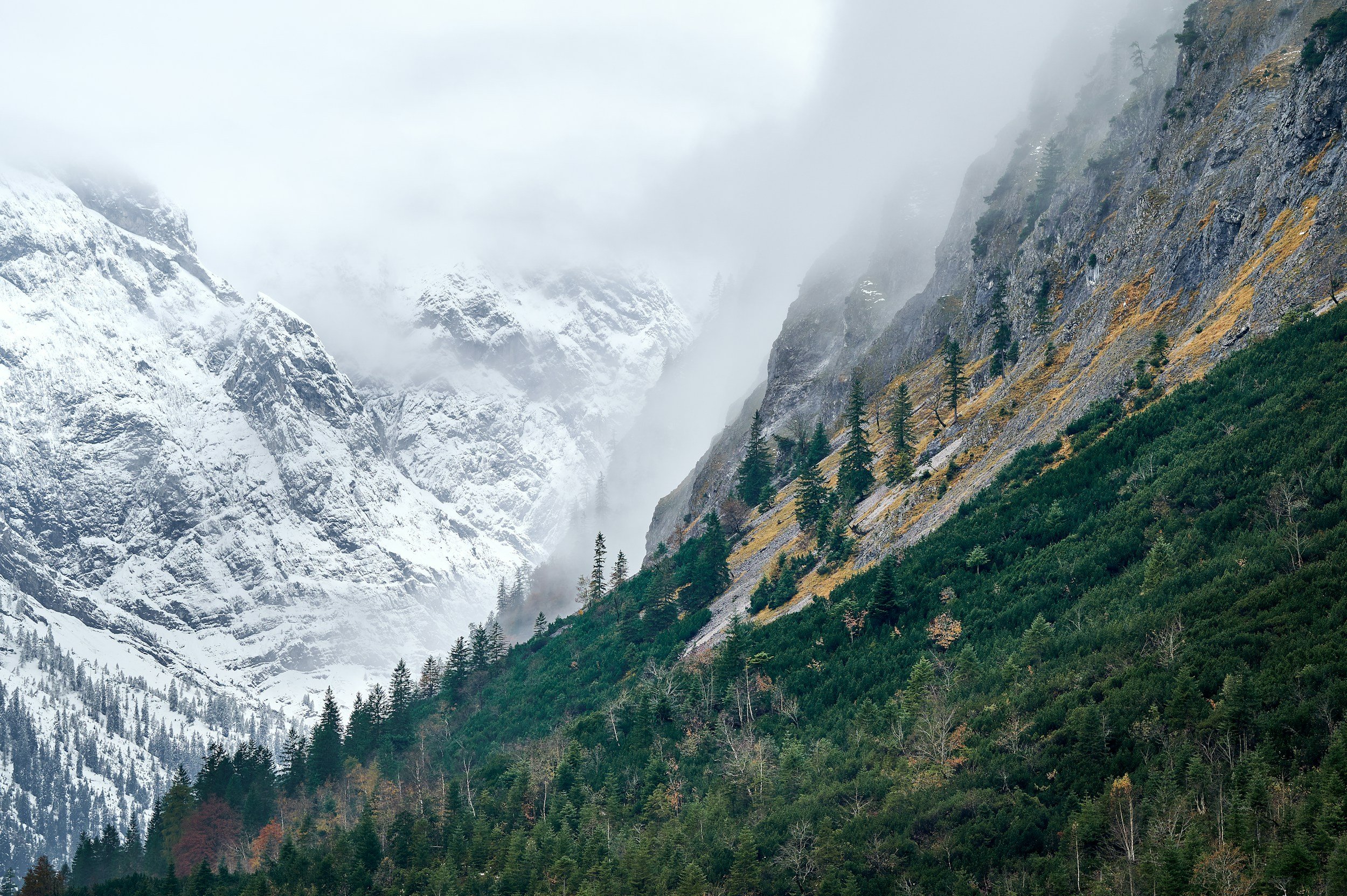 Month 7 — Stepping Out of Reactivity and into Self