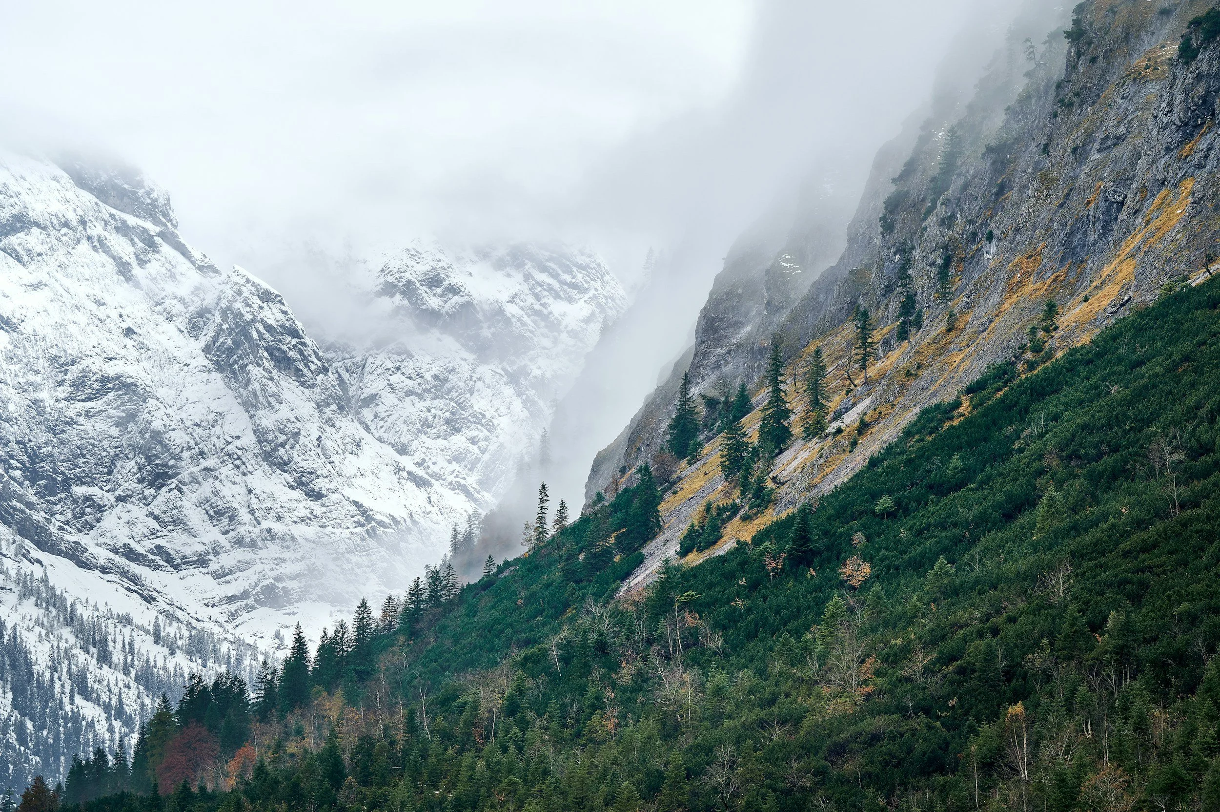 Snow-capped mountains partially obscured by fog with a forested hillside in the foreground.