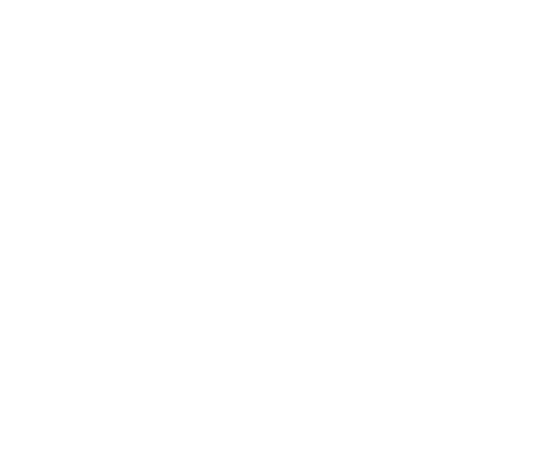 Ziare251