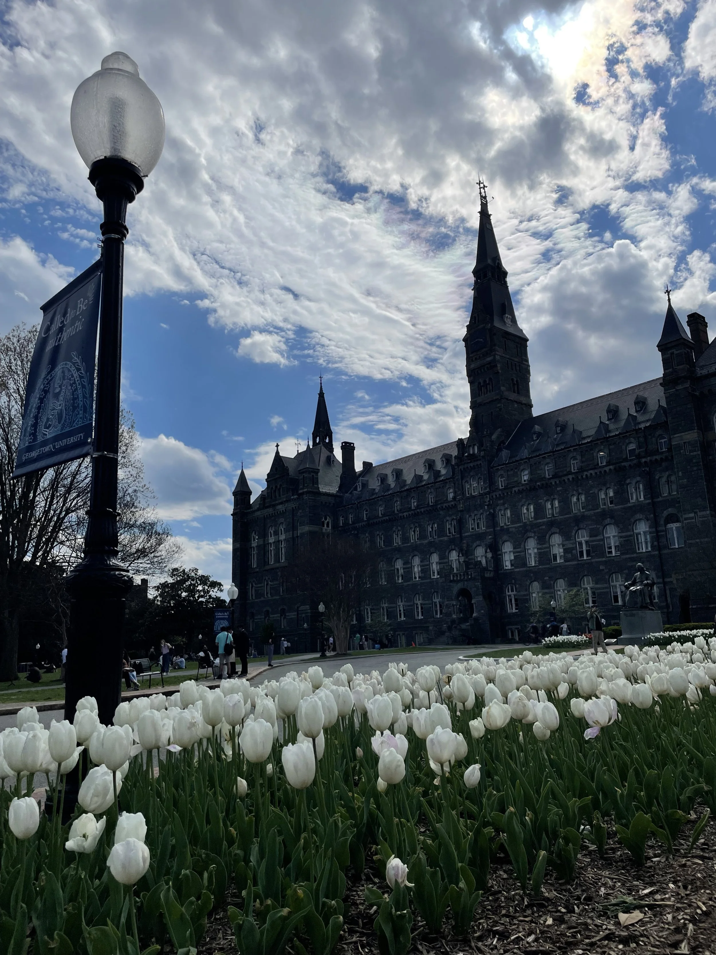 Healy Hall, April 10, 2024