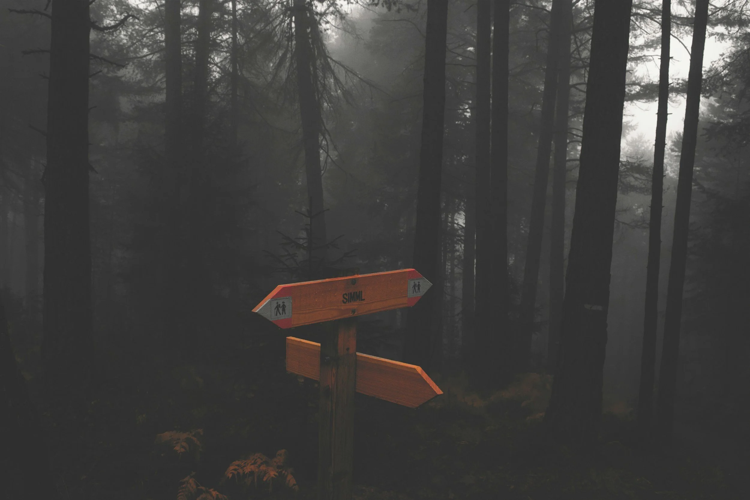 Dark foggy forest with tall trees and a wooden trail sign with orange reflective paint and the word 'SIMML' and walking person icons. HIGH-Yielding Investment Returns