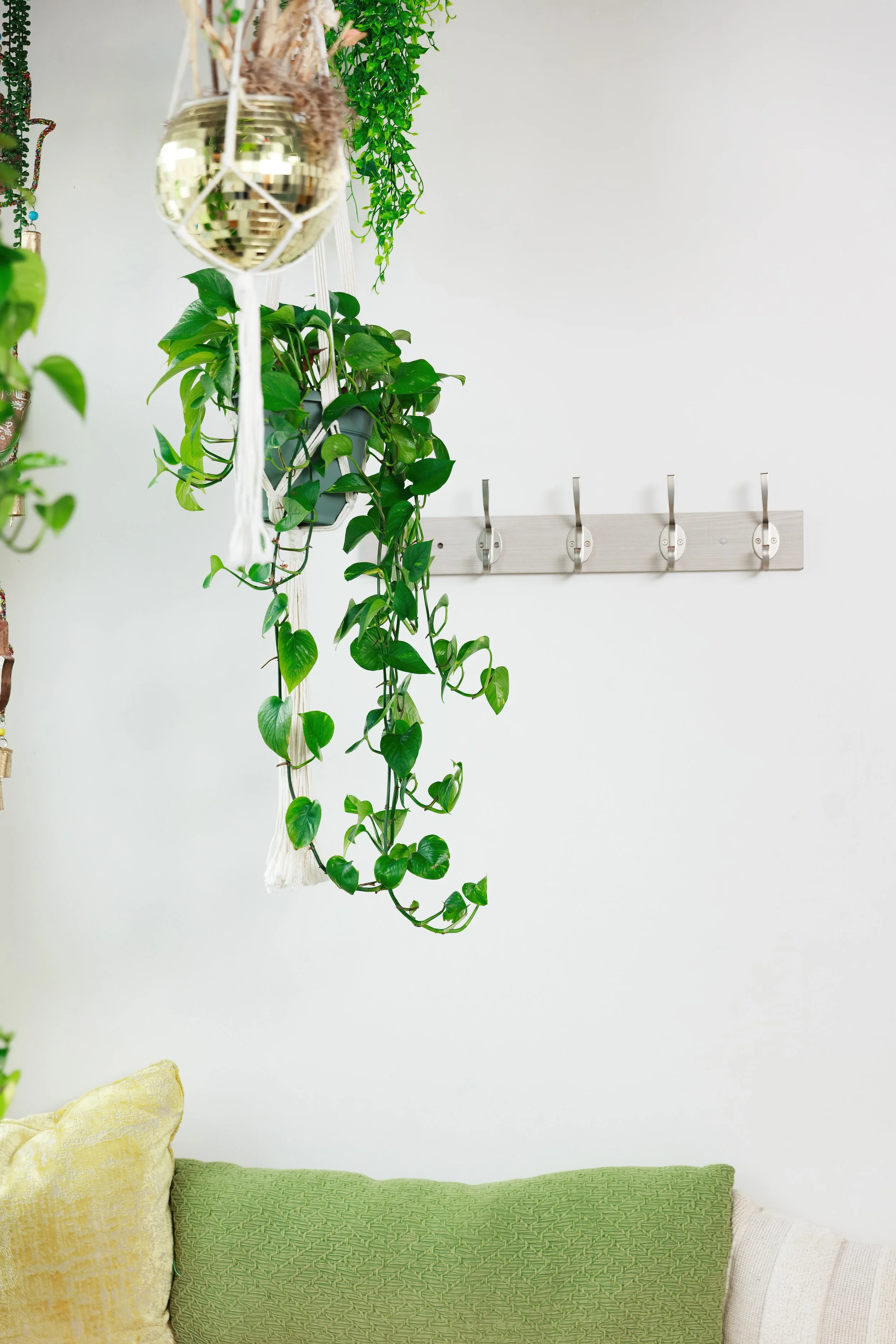 Interior with hanging plants, hooks on a light-colored wall, and cushions on a green textured bench.