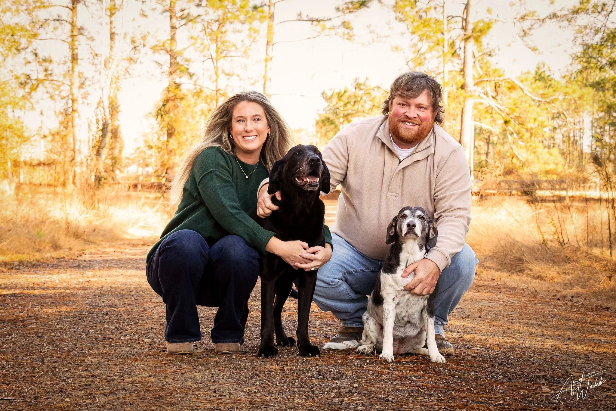 canine black background portraits Statesboro GA, dog portraits Statesboro GA, dog photography Statesboro GA, black background dog portraits Georgia, dog photographer near Statesboro GA