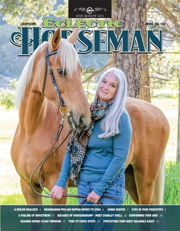 Equine photography Horse Photography Horse and Rider Photo Sessions Horse and Rider Portraits Horse Photoshoots