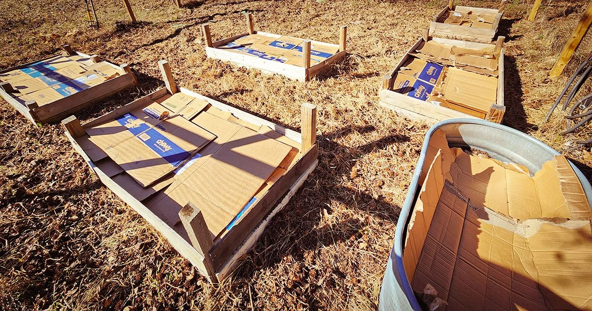 2026 – The Year of Cardboard Gardens and Mulch