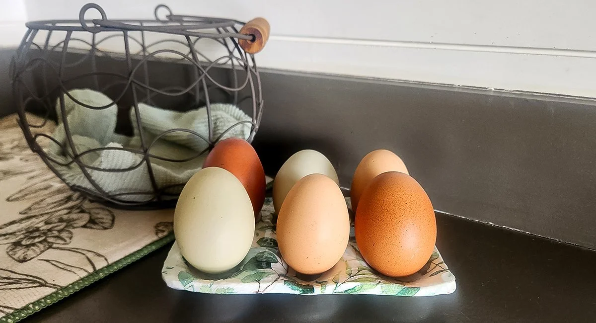 Understanding Egg Sensitivities: A Look Beyond the Egg