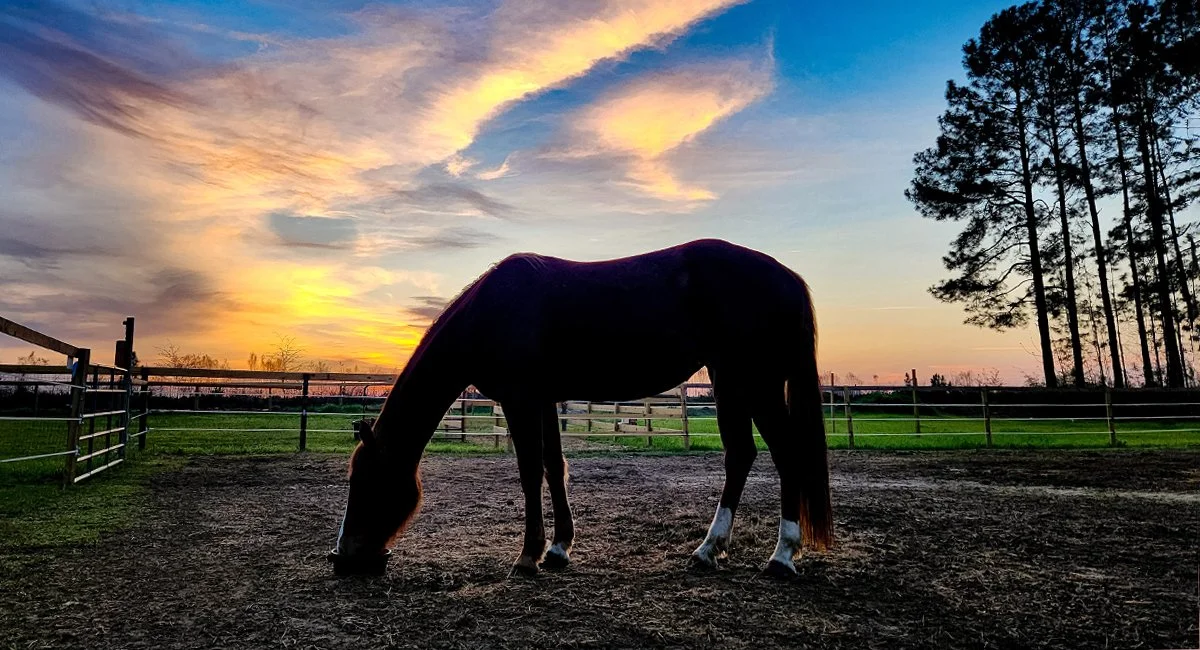 Time Is the Real Limiting Factor on a Hobby Farm