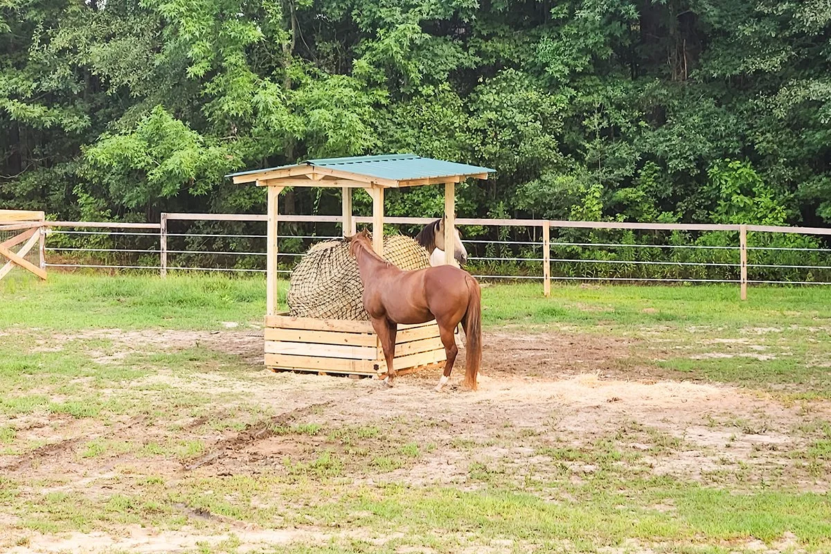 Simplifying Daily Horse Care (Because Time Still Matters)