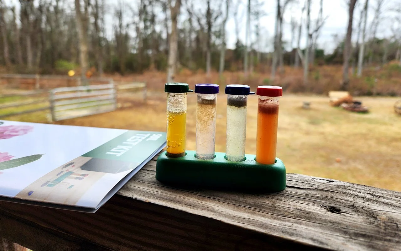 Soil Testing for Horse Pastures in Georgia: Smarter Small Acreage Management in 2026