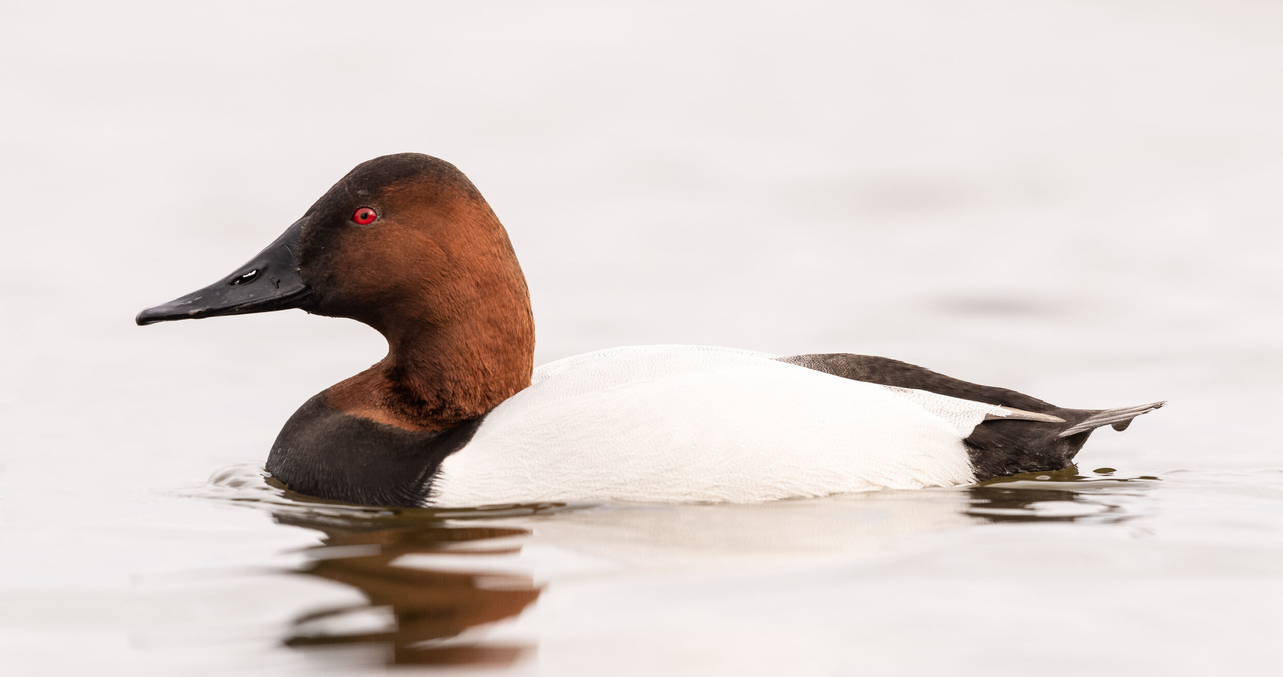 _JH50970-97.jpg