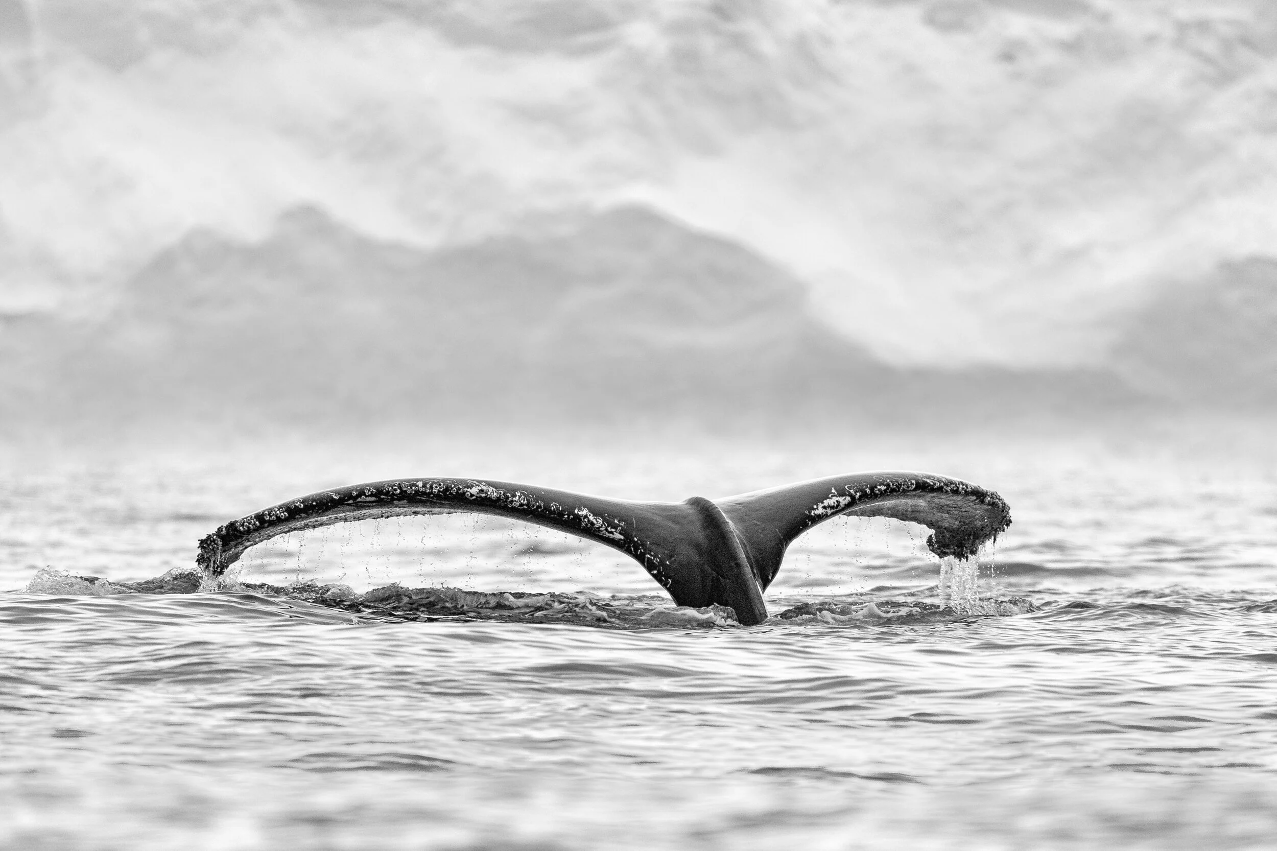 _JH57613-Edit.jpg