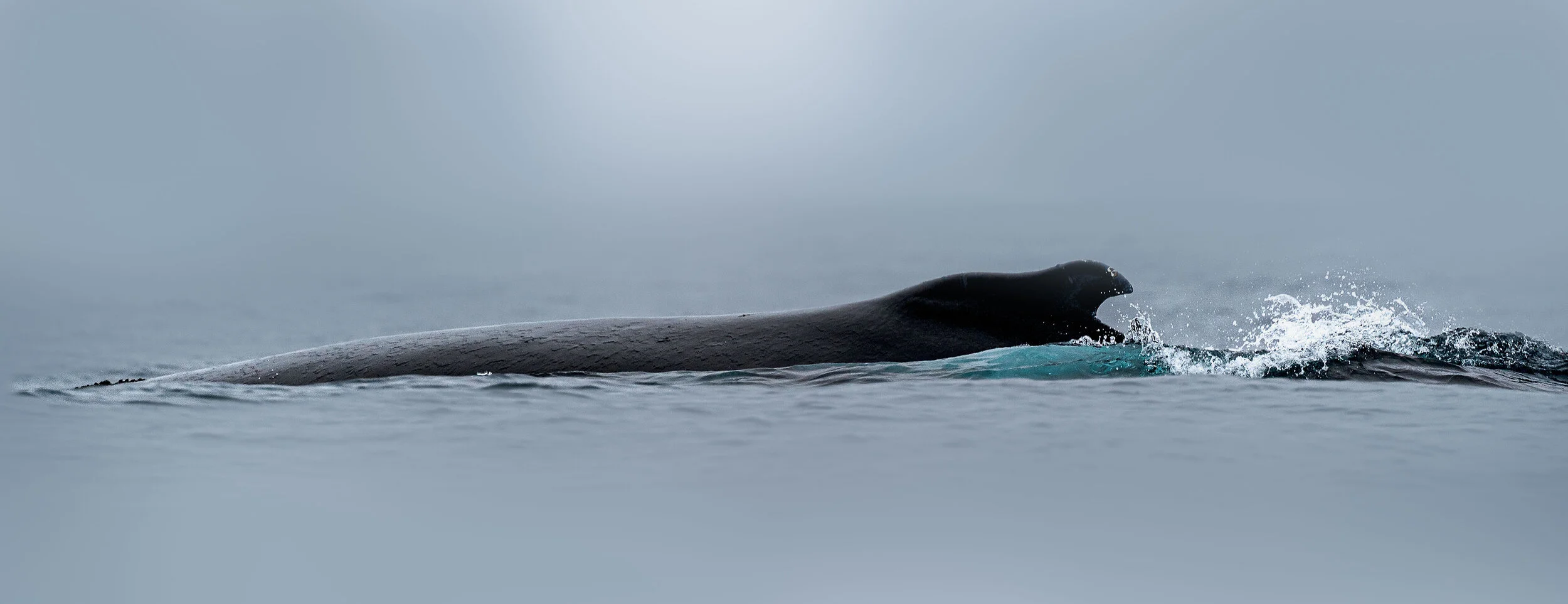 _JH58006-Edit.jpg