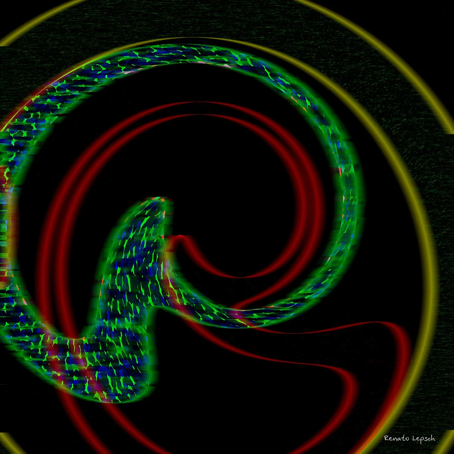 RENATOLEPSCH_0275C