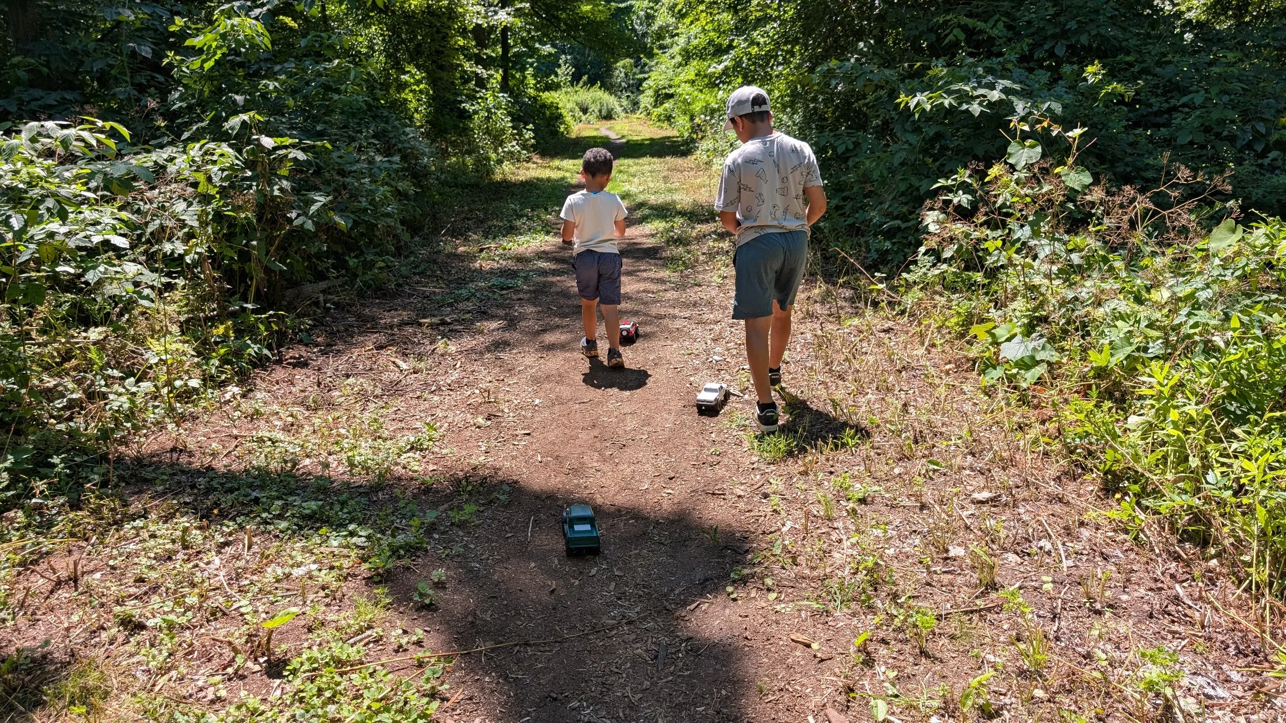 Two children walking on a dirt path surrounded by green bushes, with toy cars on the ground, in a sunny outdoor setting.