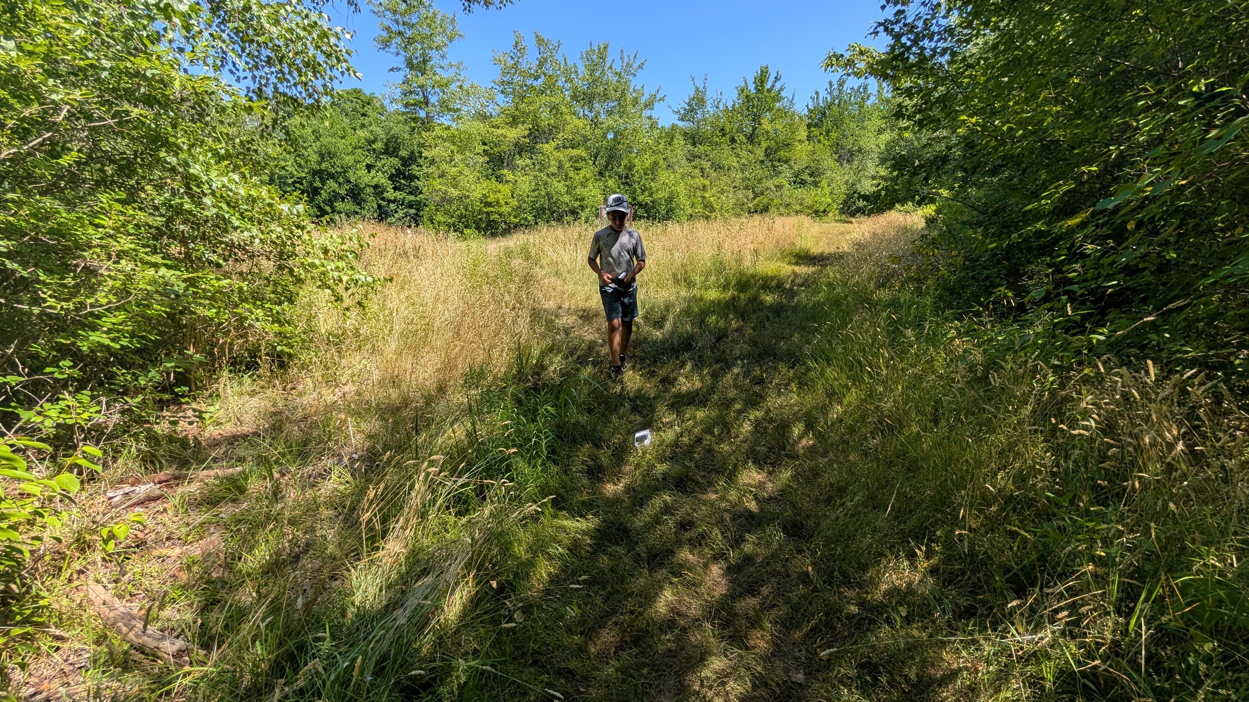 A person walking on a grassy trail in a green, wooded area under a clear blue sky driving an RC truck.