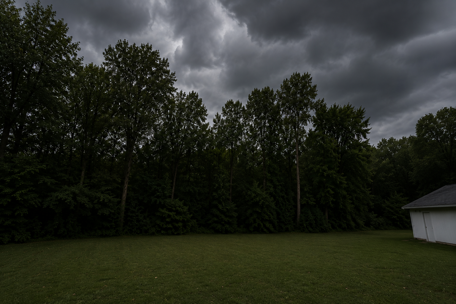 Overcast sky with dark clouds over a backyard with green grass, trees, and a white shed.