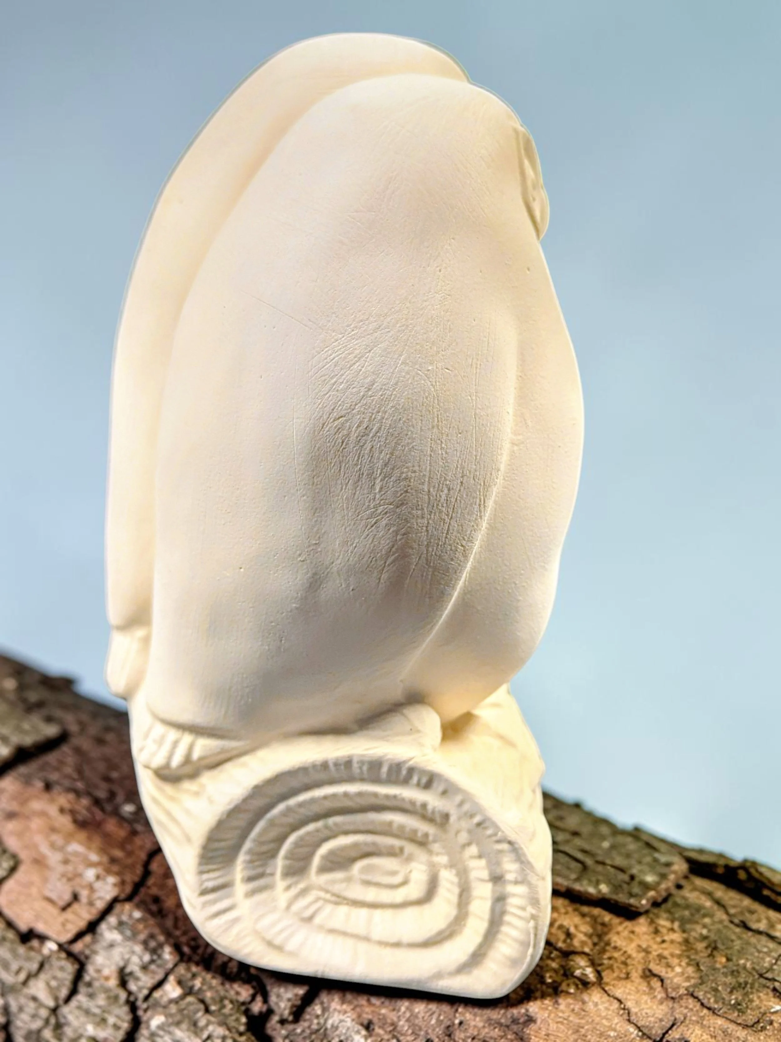 owls2.jpg