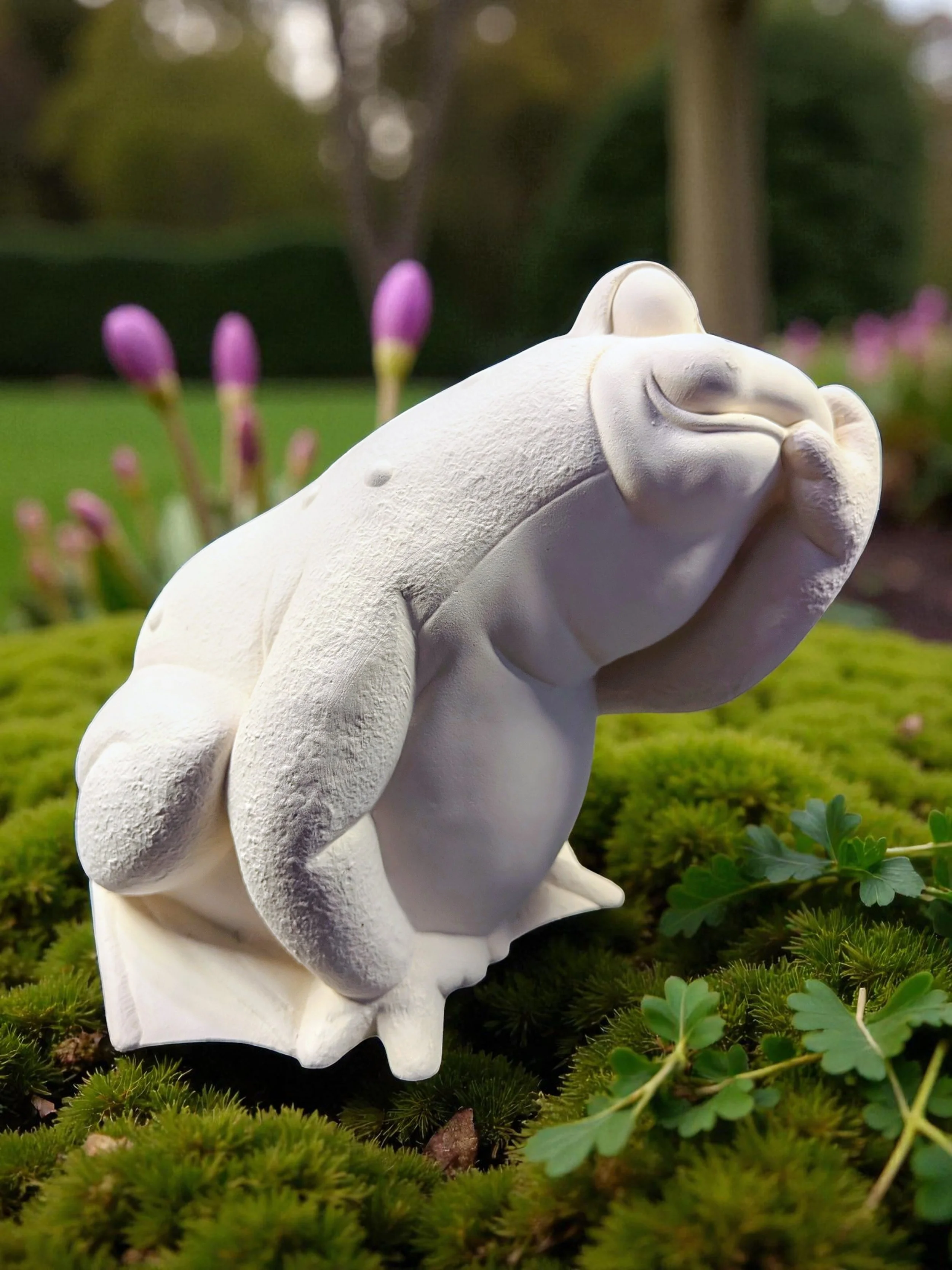 frog1.jpg