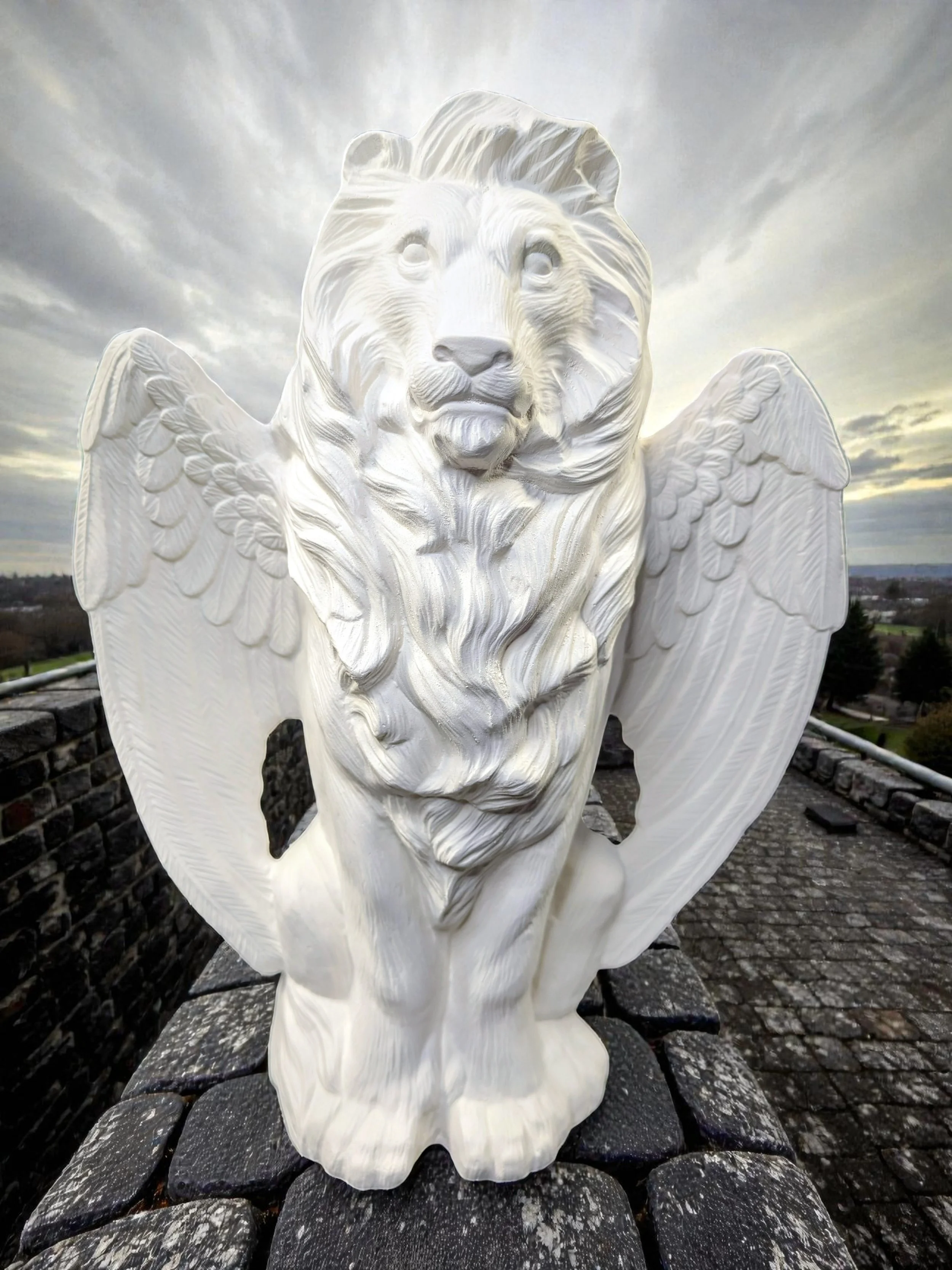 lionw3.jpg