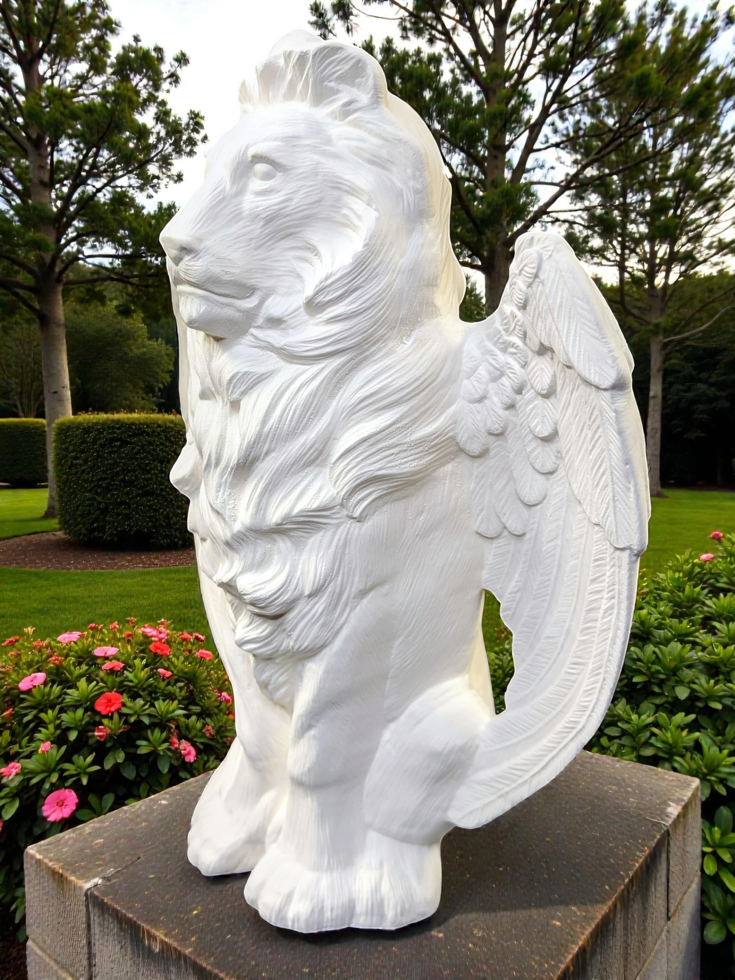 lionw4.jpg