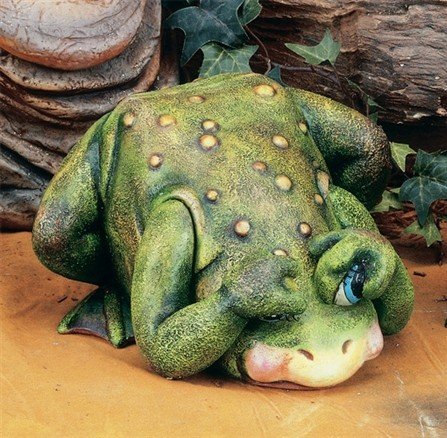 see frog.jpg