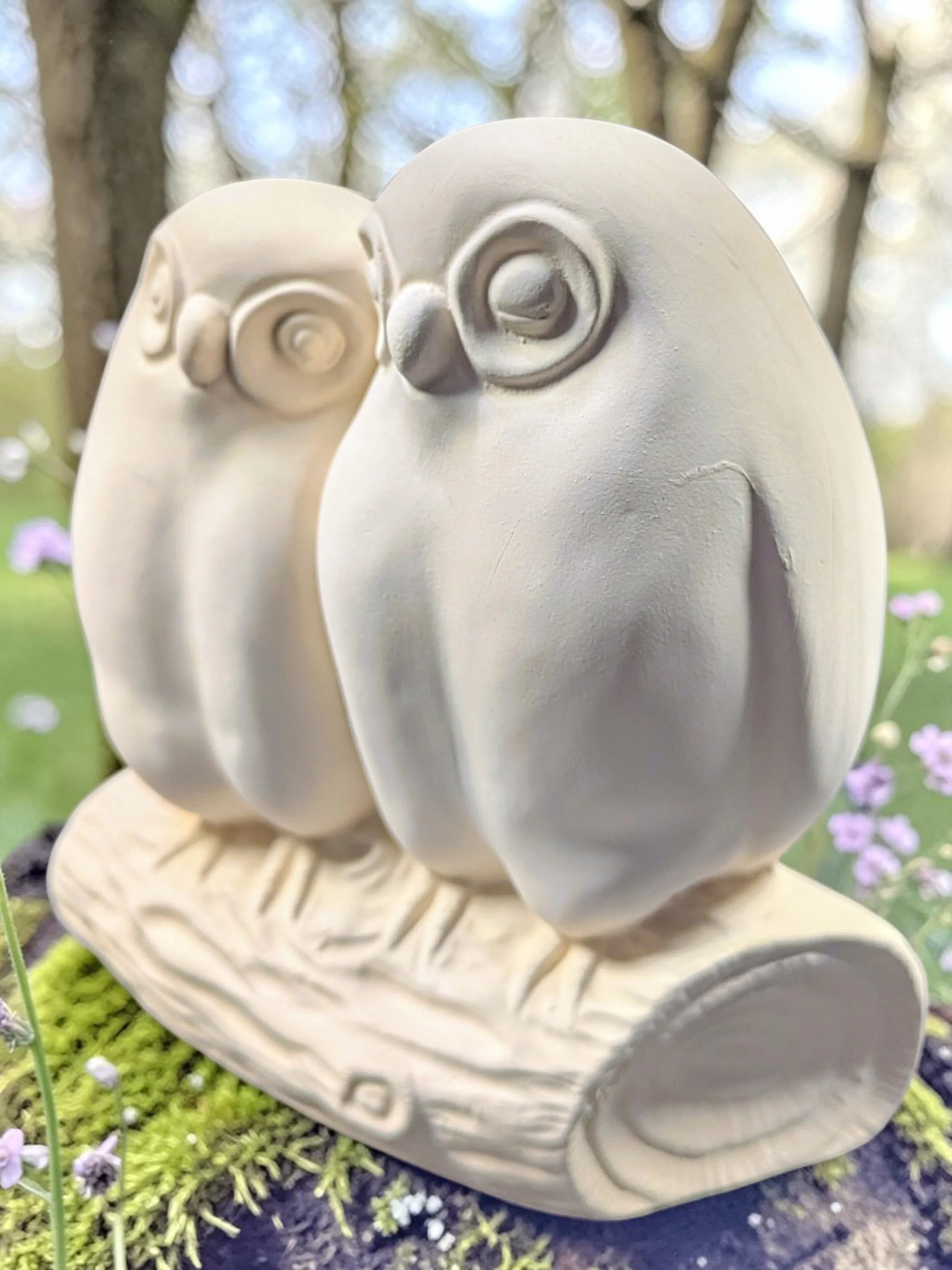 owls4.jpg