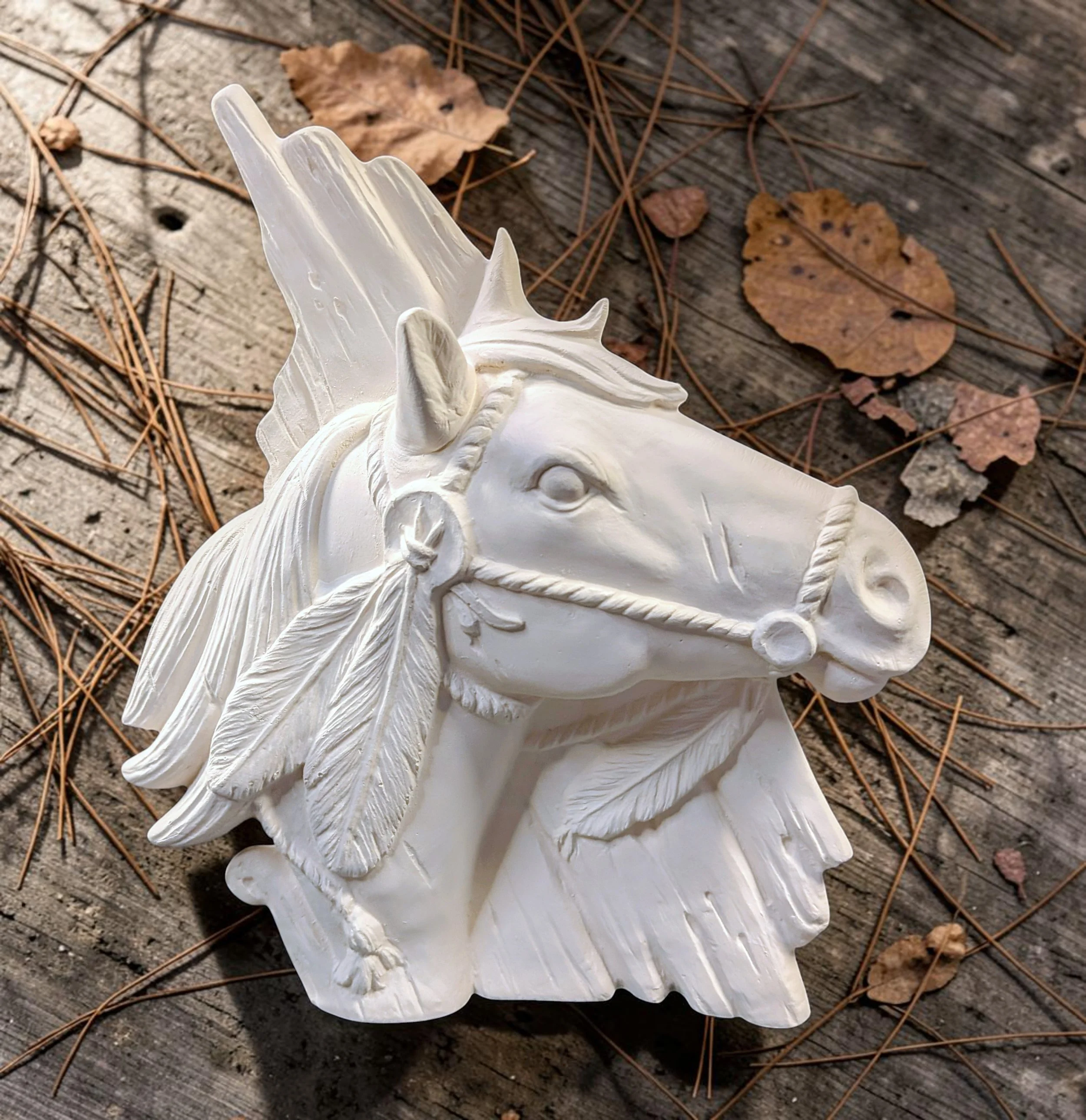horse6.jpg
