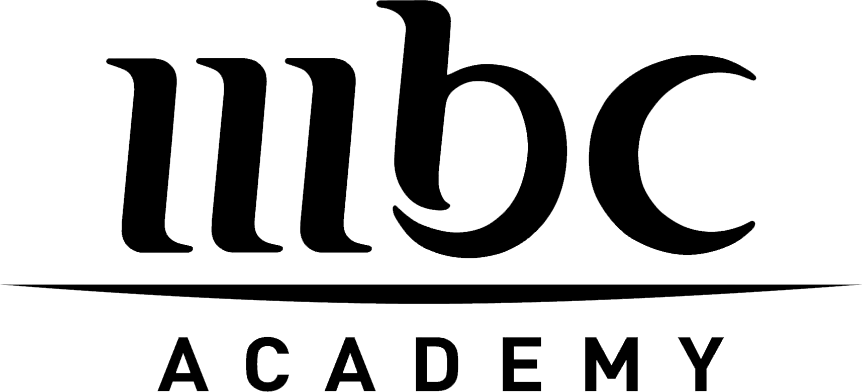Black background with large, outlined white lowercase letters spelling "hub" and smaller, outlined white capital letters spelling "ACADEMY" underneath.